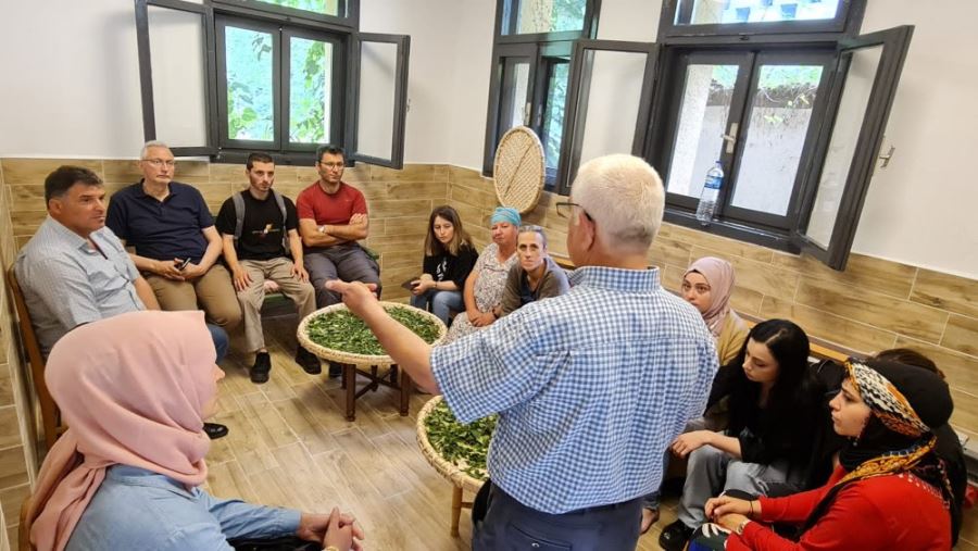 Pazar ve Çayeli Ziraat Odalarının öncülüğünde kadınlara butik çay yapımı eğitimi verildi