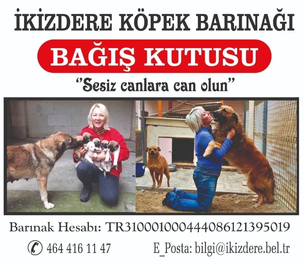 RİZE İLÇELERİNDE TEK KÖPEK BARINAĞI YİYECEK YARDIMI BEKLİYOR