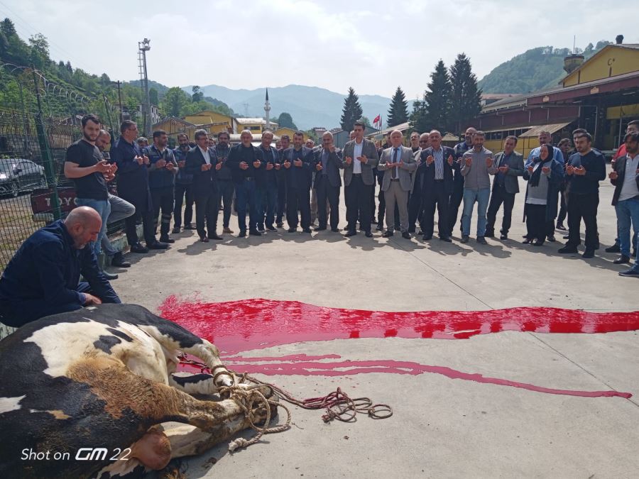 SABUNCULAR ÇAY FABRİKASI MÜDÜRLÜĞÜ 2023 YAŞ ÇAY KAMPANYASINI KAZA KURBANI KESEREK AÇTI