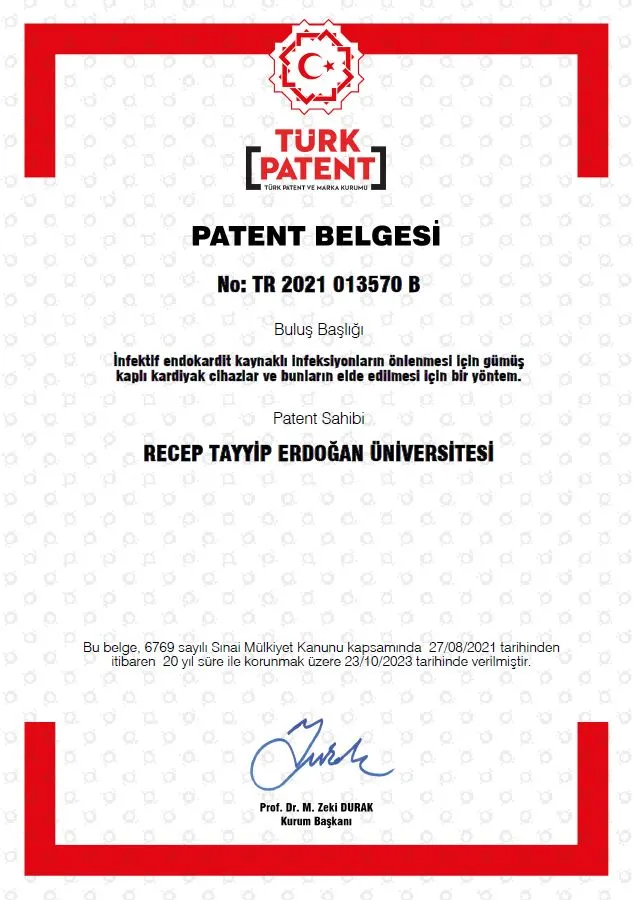 RTEÜ ÖĞRETİM ÜYELERİNİN PATENT BAŞARISI