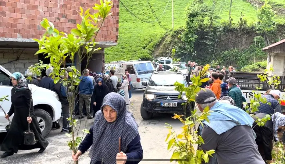 ÇAMLIHEMŞİN’DE YAPILAN FİDAN DAĞITIMINA VATANDAŞLARDAN YOĞUN İLGİ