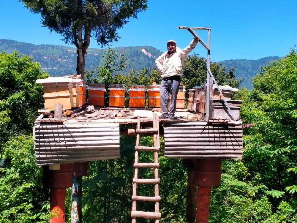 AYI’DAN KORUNMAK İÇİN 4 METRE YÜKSEKLİK                                              