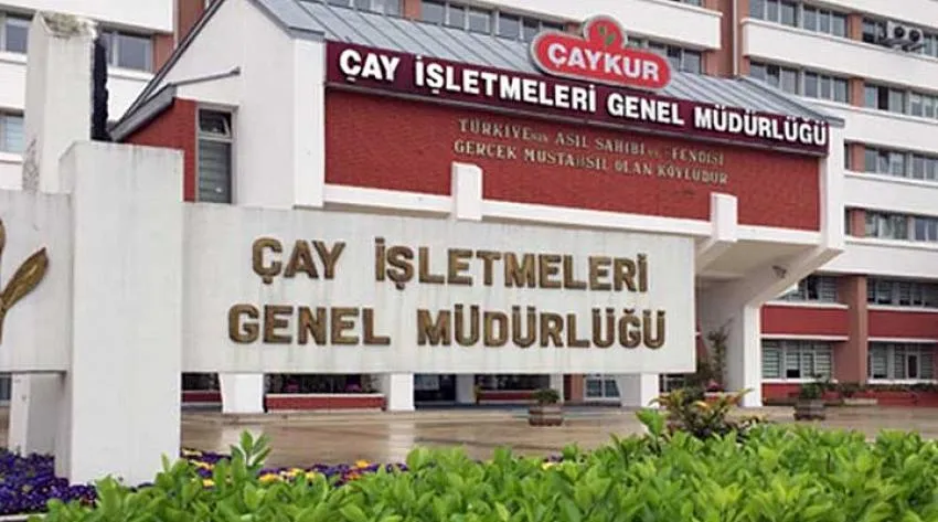 ÇAYKUR 3.SÜRGÜN YAŞ ÇAY ALIMLARINA BAŞLADI