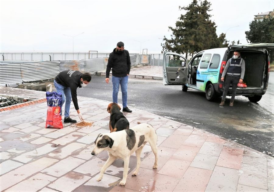 RİZE BELEDİYESİN