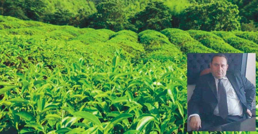 DİSK Rize Tem­sil­ci­si Ra­ma­zan Sa­rı­oğ­lu, Çay üre­ti­ci­si ve Çay­kur ça­lı­şan­la­rı sa­hip­siz ol­du­ğu­nu be­lirt­ti. 