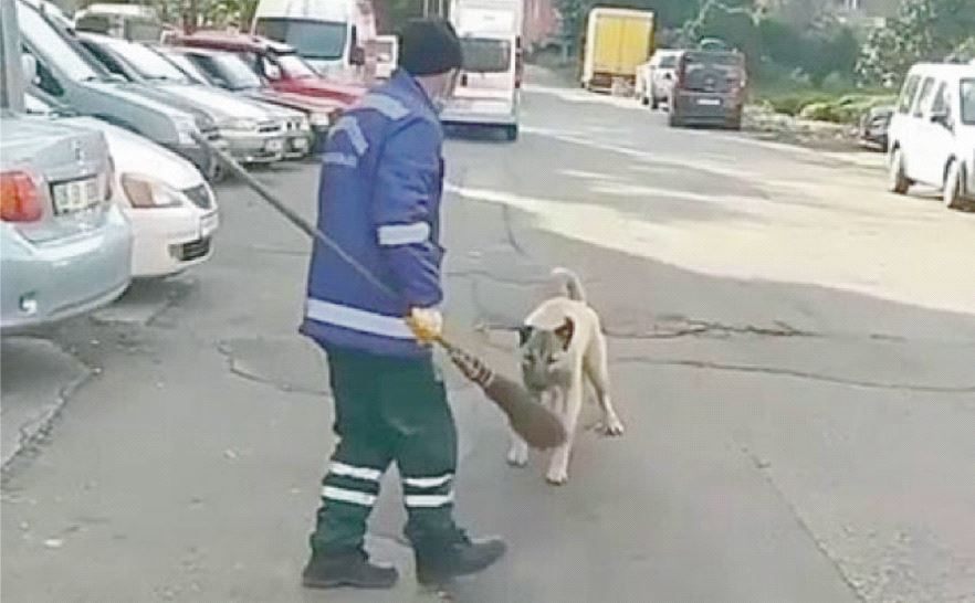 Temizlik Görevlisi Köpekle Olan Kovalamacasını Anlattı