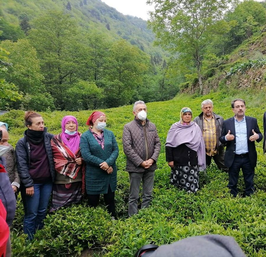 RİZE CHP