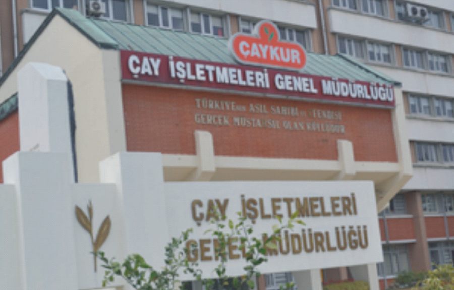 ÇAYKUR Mayıs Ayı Çay Paralarını Ödemeye Başlıyor