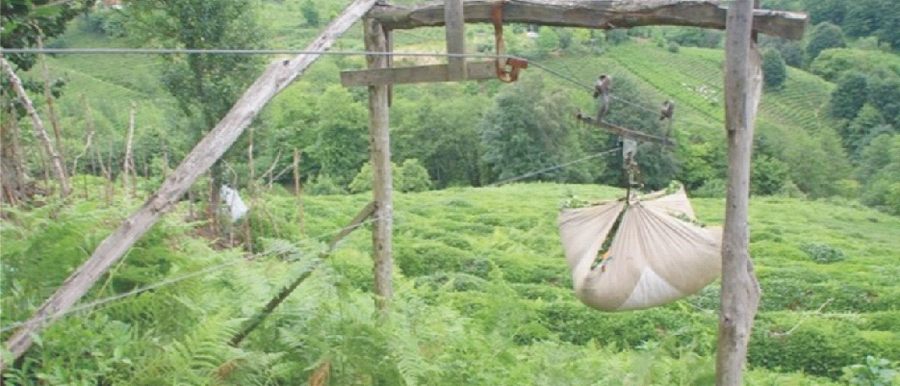 İlkel Teleferik Kazaları Ölümlere Neden Olmaya Devam Ediyor