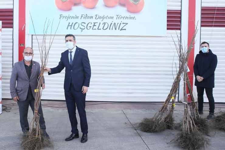 İlimizde Trabzon Hurması fidanı dağıtıldı