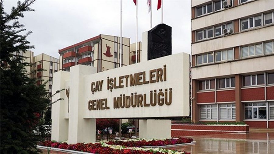 ÇAYKUR 630 mevsimlik işçi alacak